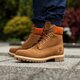 Vyriški žieminiai batai TIMBERLAND PREMIUM 6 INCH BOOT  a19sm spalva ruda