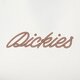 Moteriški marškinėliai DICKIES MARŠKINĖLIAI DICKIES ROPE SS TEE W dk0a4z8mk471 spalva ruda