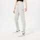 Moteriškos kelnės NIKE KELNĖS W NSW PHNX FLC HR PANT STD fd0893-034 spalva miętowy