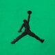 Vaikiški marškinėliai JORDAN MARŠKINĖLIAI JUMPMAN AIR EMB BOY 95a873-f4f spalva žalia