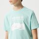 Vaikiški marškinėliai ADIDAS MARŠKINĖLIAI TEE BOY he2059 spalva mėlyna