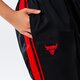 Moteriškos kelnės NIKE KELNĖS CHI W NK TRKST PANT CTS NBA dn9510-010 spalva juoda