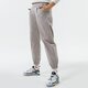 Moteriškos kelnės NIKE KELNĖS W NSW ICN CLSH WVN HR JGGR dd5048-033 spalva pilka
