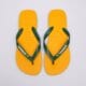 Vyriškos šlepetės HAVAIANAS BRASIL LOGO 4110850-1740 spalva geltona