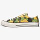 Vyriški inkariukai CONVERSE CHUCK TAYLOR ALL STAR c164408m spalva daugiaspalvė