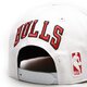 Vyriška kepurė su snapeliu NEW ERA KEPURĖ WHT CROWN TEAM 950 BULLS CHICAGO BULLS 60358008 spalva balta
