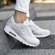 Moteriški kedai NIKE WMNS AIR MAX 90 PRM 896497004 spalva pilka