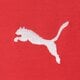 Moteriška PUMA SUKNELĖ T7 TRENINGASS 632140 11 spalva raudona
