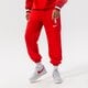 Vyriškos kelnės NIKE KELNĖS CHI M NK DF SPOTLIGHT PNT NBA dn8181-657 spalva tamsiai raudona