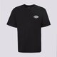 Vyriški marškinėliai DICKIES MARŠKINĖLIAI WOOD LOGO TEE dk0a4zatblk1 spalva juoda