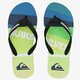 Vyriškos šlepetės QUIKSILVER MOLOKAISLASHLOG aqyl100408xkgb spalva daugiaspalvė