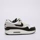 Vyriški kedai NIKE AIR MAX 1 ESS fz5808-102 spalva balta