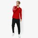 Vyriški marškinėliai ADIDAS MARŠKINĖLIAI LS 3-STRIPES LS T ADICOLOR dv1558 spalva raudona