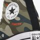 Vyriški inkariukai CONVERSE CHUCK TAYLOR ALL STAR  171454c spalva žalia