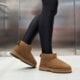 Moteriški žieminiai batai EMU AUSTRALIA SHARKY MICRO w12548chestnut spalva ruda