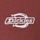 Moteriški marškinėliai DICKIES MARŠKINĖLIAI SUMMERDALE SS TEE dk0a4y1bl161 spalva ruda