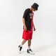 Vyriški šortai NEW ERA ŠORTAI WASHED LOGO BULLS CHICAGO BULLS FDR 13083852 spalva raudona