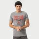 Vyriški marškinėliai NEW ERA MARŠKINĖLIAI TEE BULLS GRH 13051081 spalva pilka
