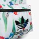 Moteriška kuprinė ADIDAS KUPRINĖ BP CLASSIC ei4762 spalva daugiaspalvė