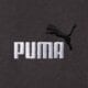 Vyriškos kelnės PUMA KELNĖS ESS 2 COLOR NO. 1 LOGO SWEATPANTS FL CL 684713 44 spalva pilka
