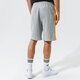Vyriški šortai NEW ERA ŠORTAI NBA SIDE PANEL SHORT LAKERS LOS ANGELES LAKER 12590889 spalva pilka