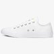 Moteriški kedai CONVERSE CHUCK TAYLOR ALL STAR  170823c spalva daugiaspalvė