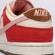 Moteriški kedai NIKE DUNK LOW PRM fb7910-600 spalva raudona