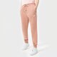 Moteriškos kelnės NIKE KELNĖS SPORTSWEAR ESSENTIAL bv4095-609 spalva rusvai gelsva