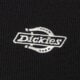 Moteriški marškinėliai DICKIES MARŠKINĖLIAI GLADEVILLE TEE LS W dk0a87qablk1 spalva juoda