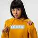 Moteriškas džemperis LEVI'S DŽEMPERIS SU GOBTUVU   GRAPHIC STANDARD HOODIE 18487-0114 spalva tamsi geltona