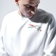 Vyriškas džemperis REEBOK DŽEMPERIS TJ CREW 2 gk9161 spalva balta