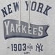 Vyriškas džemperis NEW ERA DŽEMPERIS SU GOBTUVU MLB PENNANT NYY NEW YORK YANKEE 60596192 spalva pilka