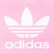 Moteriška liemens rankinė ADIDAS KREPŠYS AC WAISTBAG hk2628 spalva rožinė
