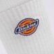 Moteriškos kojinės DICKIES KOJINĖS VALLEY GROVE SOCKS dk0a4x82whx1 spalva balta