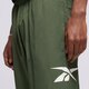 Vyriškos kelnės REEBOK KELNĖS CL VECTOR TRACKPANT 100036177 spalva rusvai žalsva