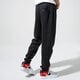 Vyriškos kelnės JORDAN KELNĖS M J JUMPMAN LOGO FLC PANT bq8646-010 spalva juoda