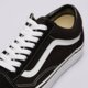 Vyriški inkariukai VANS OLD SKOOL  vn000d3hy281 spalva juoda