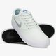 Vyriški inkariukai NIKE SB CHARGE SOLARSOFT TEXTILE cd6279-302 spalva žalia