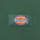 Vyriškas džemperis DICKIES DŽEMPERIS SU GOBTUVU OAKPORT HOODIE dk0a4xcdpin1 spalva žalia