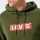Vyriškas džemperis LEVI'S DŽEMPERIS SU GOBTUVU   T3 RELAXD GRAPHIC HOODIE 38821-0115 spalva rusvai žalsva