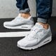 Vyriški kedai NIKE AIR MAX 90 ESSENTIAL  537384088 spalva pilka