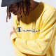Vyriškas džemperis CHAMPION DŽEMPERIS LOGO CREWNECK 215495ys001 spalva geltona
