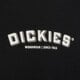 Vyriški marškinėliai DICKIES MARŠKINĖLIAI BUILDER TEE dk0a85syblk1 spalva juoda
