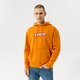 Vyriškas džemperis LEVI'S DŽEMPERIS SU GOBTUVU   T3 RELAXD GRAPHIC HOODIE 38821-0116 spalva ruda