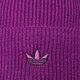 Vaikiška kepurė ADIDAS KEPURĖ  ŽIEMINĖ ADV BEANIE h25263 spalva violetinė
