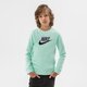 Vaikiškas džemperis NIKE DŽEMPERIS NIKE SPORTSWEAR CLUB FLEECE BOY cv9297-379 spalva žalia