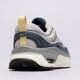 Moteriški kedai NIKE W AIR MAX BLISS SUEDE dz6754-001 spalva pilka