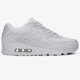 Vyriški kedai NIKE AIR MAX 90 ESSENTIAL  537384068 spalva pilka