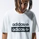 Vyriški marškinėliai ADIDAS MARŠKINĖLIAI SS VOCAL LOGO TEE ed7195 spalva balta
