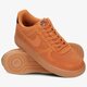 Vyriški kedai NIKE AIR FORCE 1 '07 LV8 STYLE aq0117800 spalva ruda